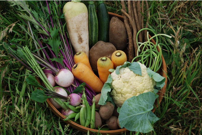 Vegetables from Ogawa Town (image)