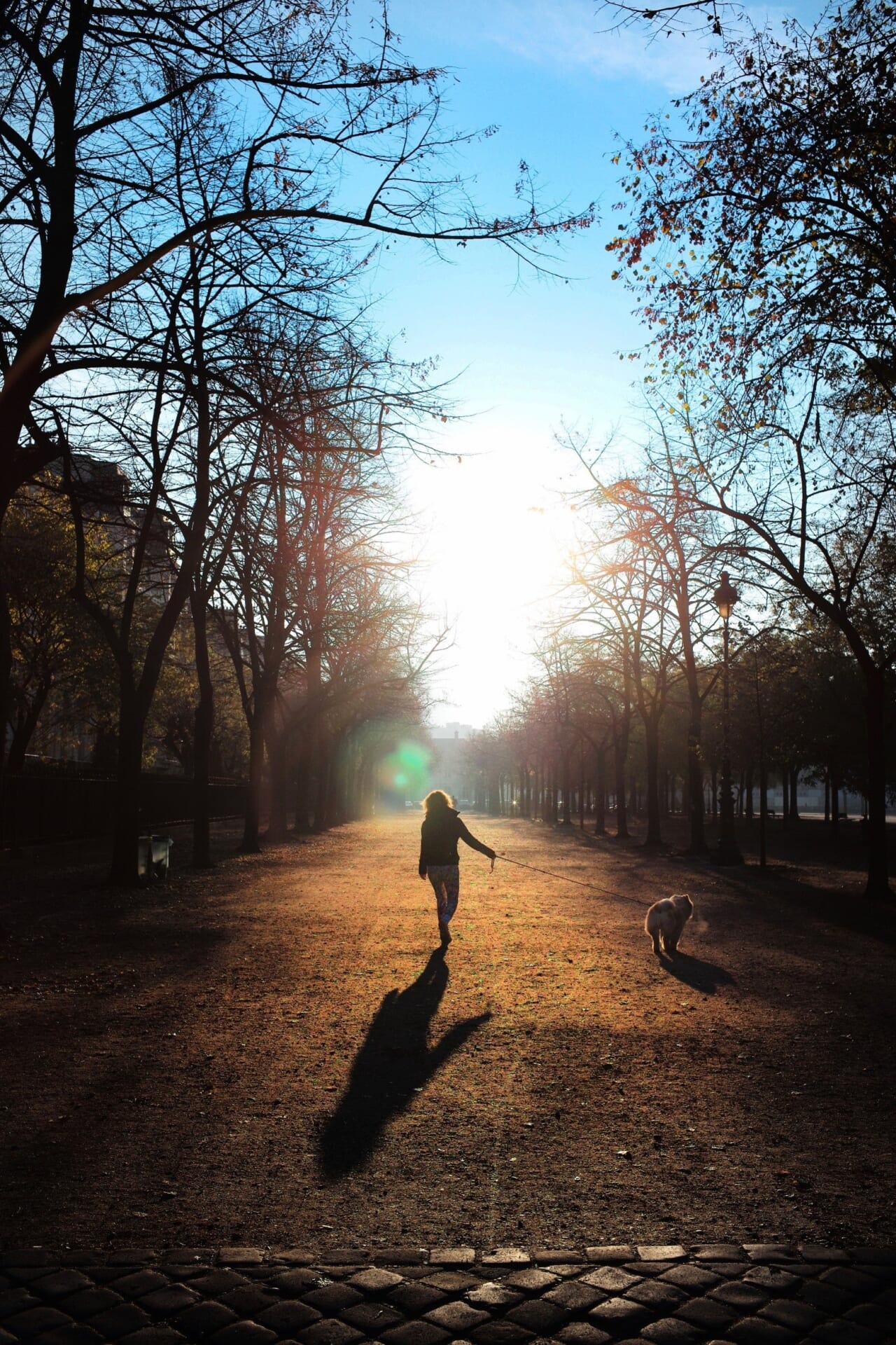 © Shumpei Ohsugi