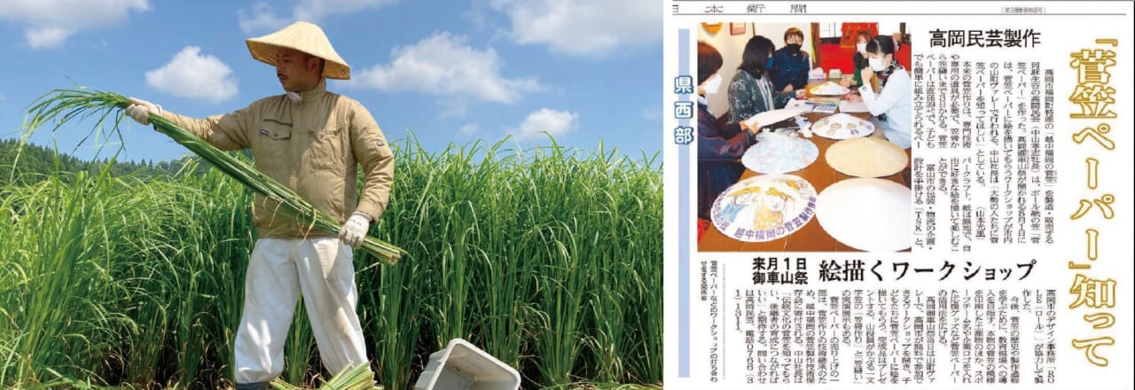 左：）菅の収穫 右：）開発中の記事／北日本新聞