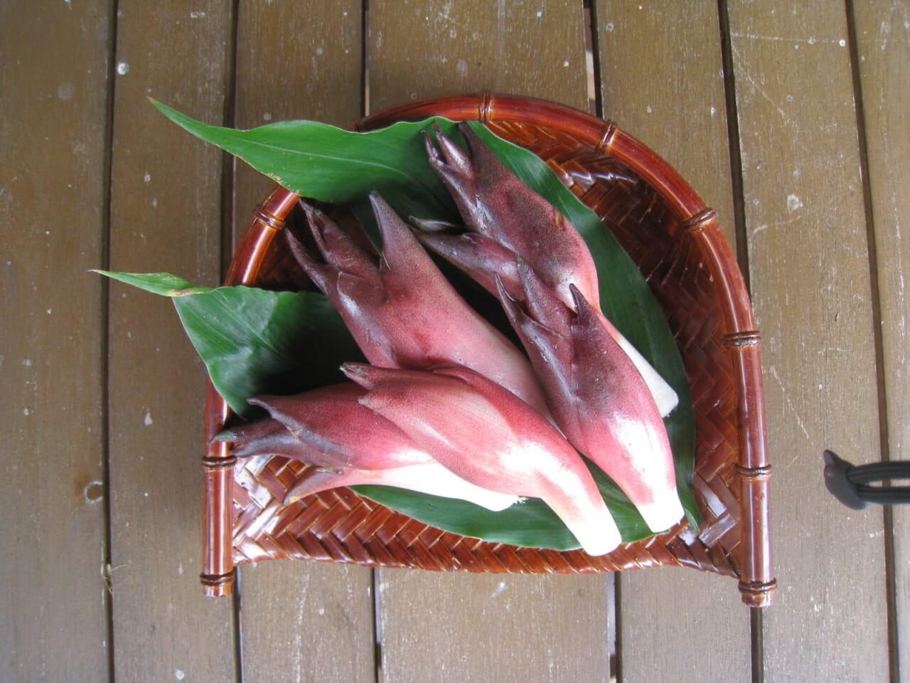 広河原里山野菜加工グループ