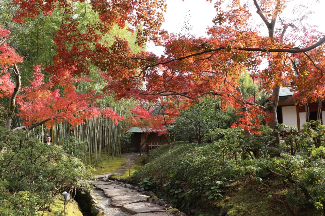 秋の庭園①