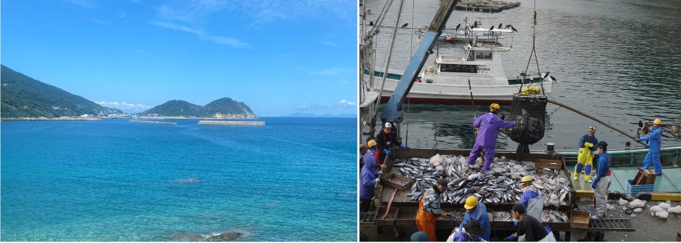 海に囲まれた新上五島町は日本有数の好漁場